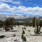 SouthernSierra 723 : SouthernSierra